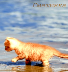 Смешинка